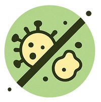 Kills Bacteria & Fungi